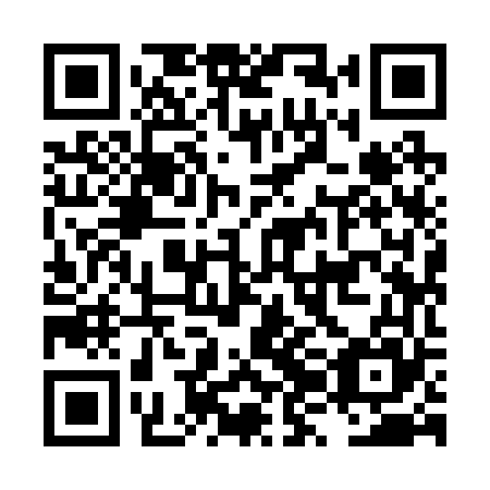 QR code for LZI 265