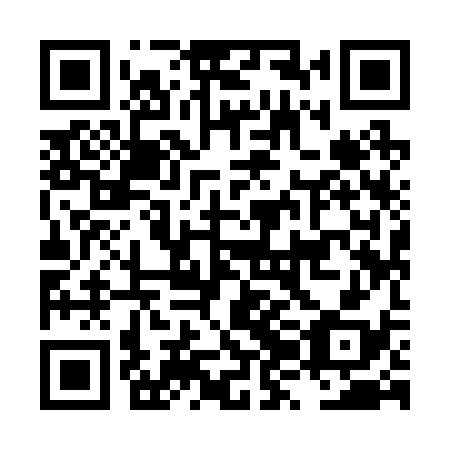 QR code for plate LZI 238