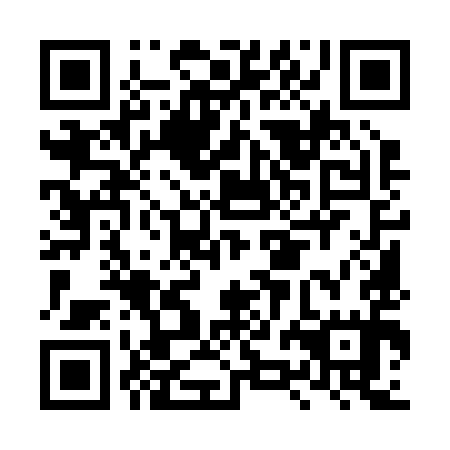 QR code for LZM295