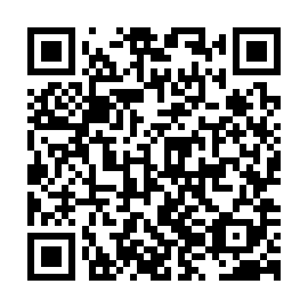 QR code for LZO 389