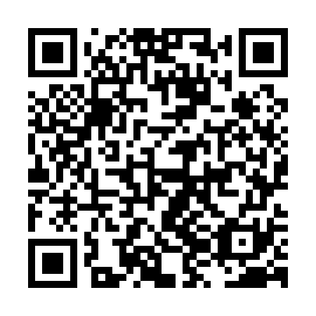 QR code for LZO171