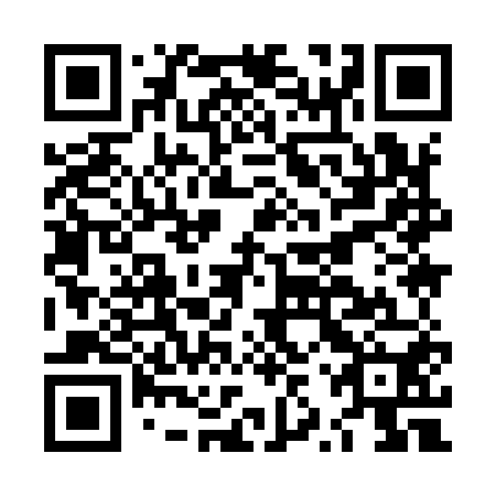 QR code for LZY 950
