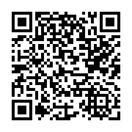 QR code for LZZ 953