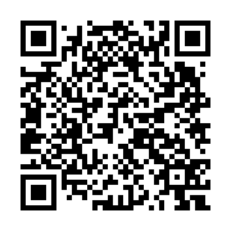 QR code for LZZ636