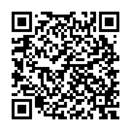 QR code for plate MAE 389