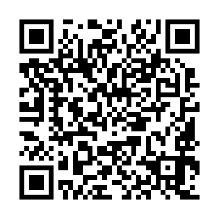 QR code for MAM293