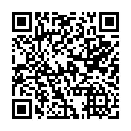 QR code for MAP 495