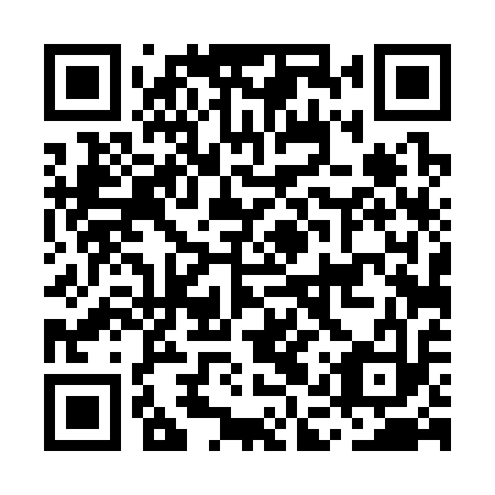 QR code for plate MAT 313