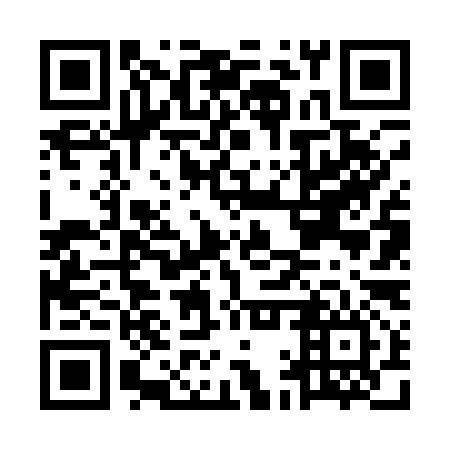 QR code for MAV196