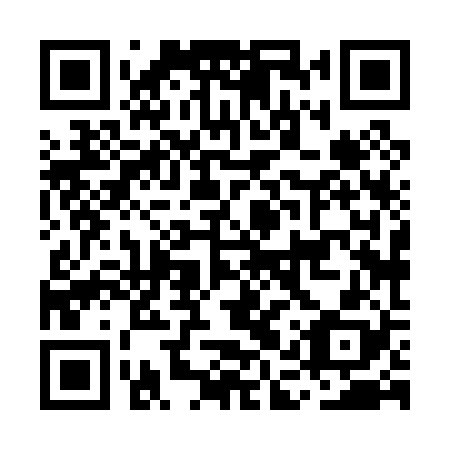 QR code for MAX 028