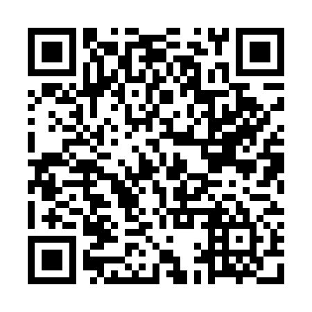 QR code for MAX 575