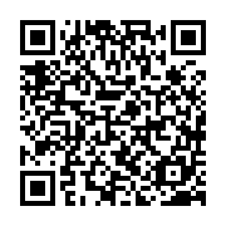 QR code for plate MAX 955