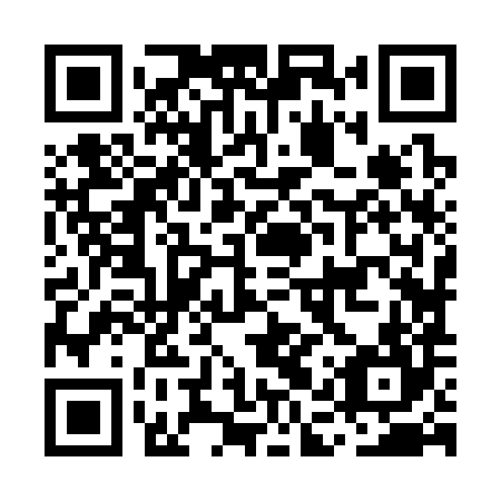 QR code for MAZ 384