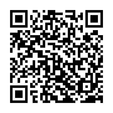 QR code for plate MBG 593