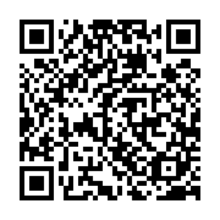 QR code for MCD 541