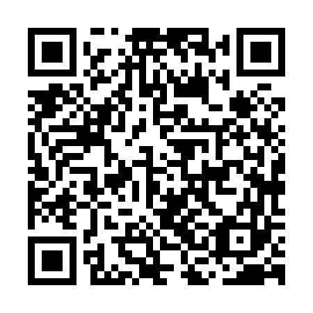 QR code for MCH 863