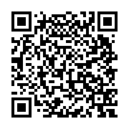 QR code for plate MCH 675