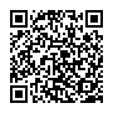 QR code for MDG368
