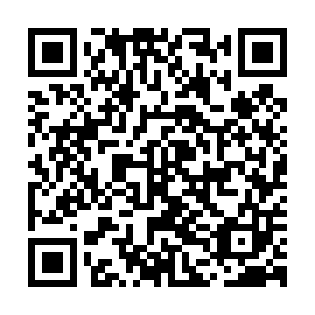 QR code for MDG403