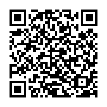 QR code for MDN419