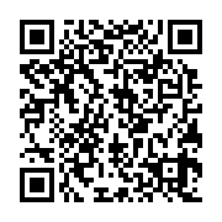QR code for MEG339