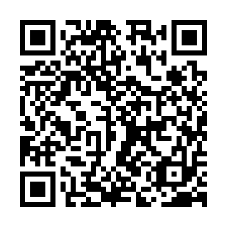 QR code for MEI313