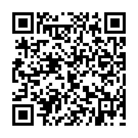 QR code for MEN 341