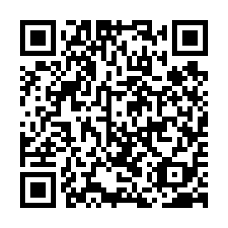 QR code for MES 619