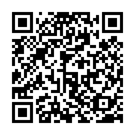 QR code for MFE 439