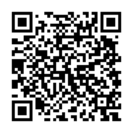 QR code for plate MFF 410