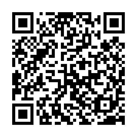 QR code for plate MFI 491