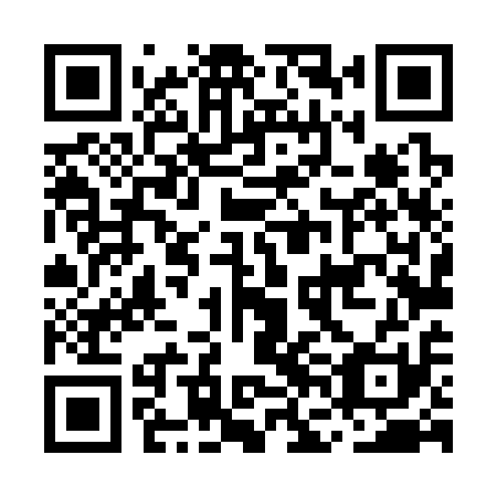 QR code for plate MFL 311