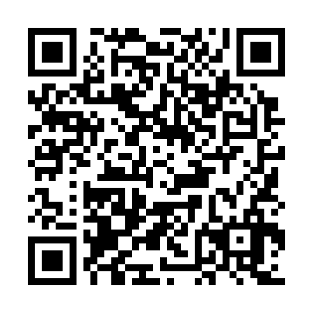 QR code for MFL336