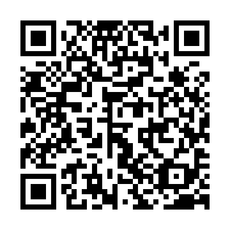 QR code for plate MFM 999