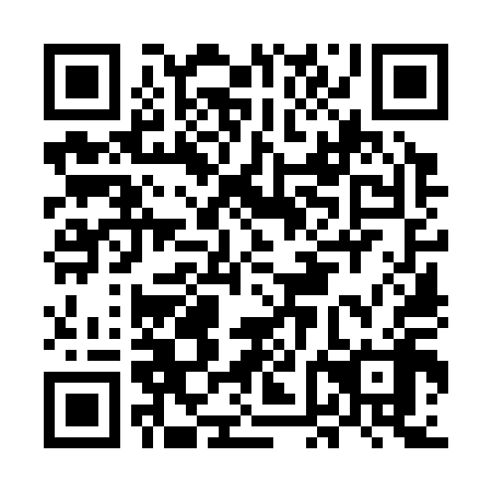 QR code for plate MFO 318
