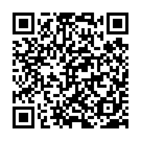 QR code for plate MFV 690