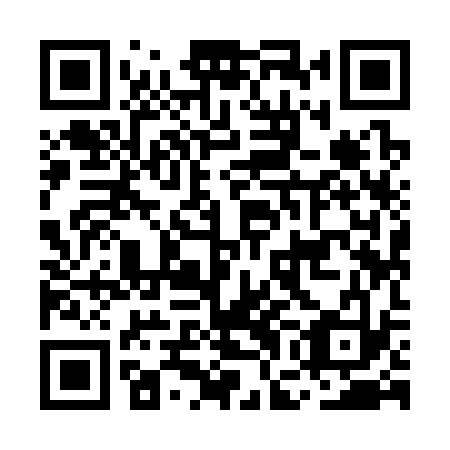 QR code for MGI 333