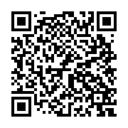QR code for MGO323