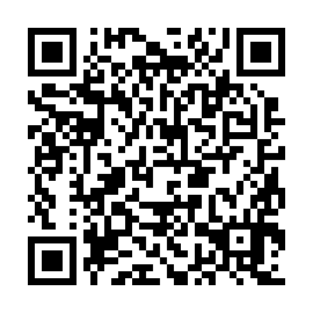 QR code for MGS 294
