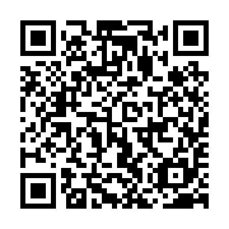QR code for MGS 295