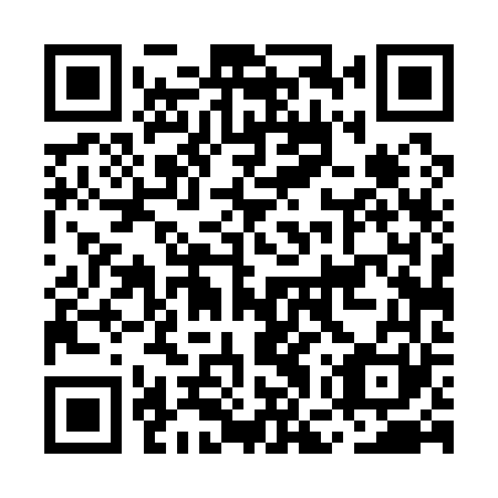 QR code for MGT161