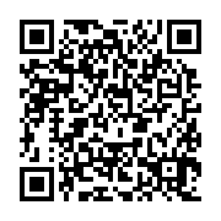 QR code for MGV 384