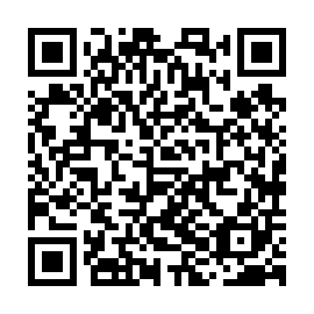 QR code for plate MHH 600