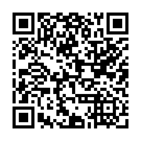 QR code for plate MHL 919