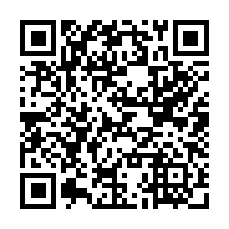 QR code for MHS381