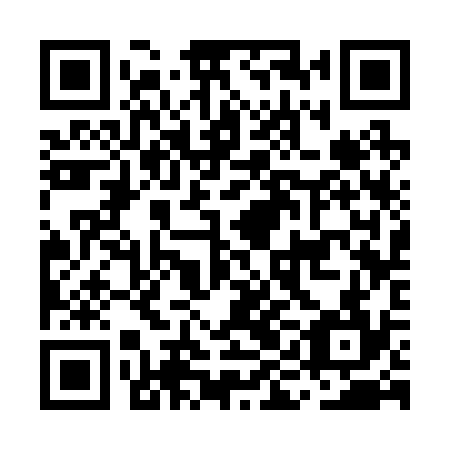 QR code for MIC 234