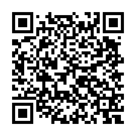 QR code for MIE 460