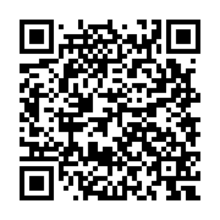 QR code for MIN 161