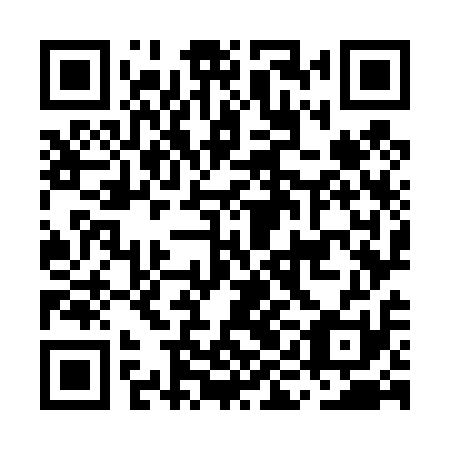 QR code for MIO411