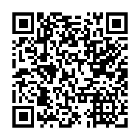 QR code for plate MIQ 307